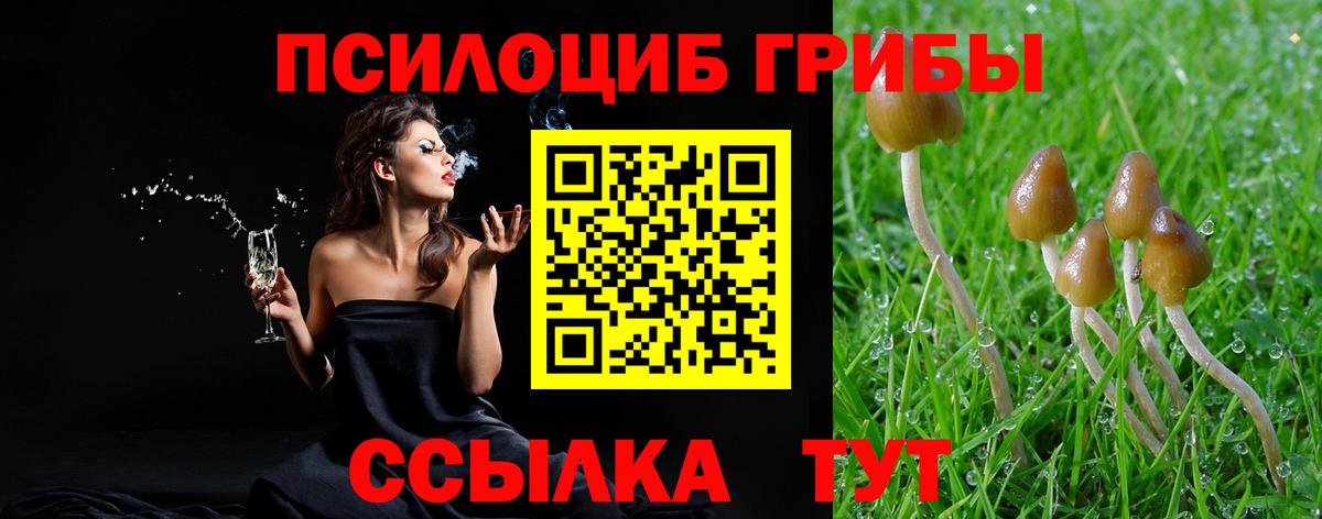Домодедово  Псилоцибиновые грибы прущие грибы  Галлюциногенные грибы MAGIC MUSHROOMS  Вход с VPN 
